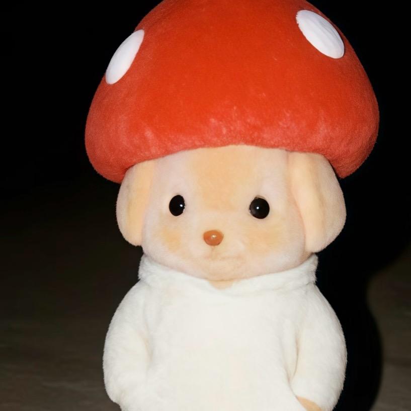 ✨是冬ᙏ̤̫͚..✨