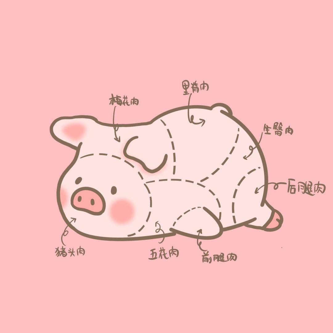 东北猪小妹