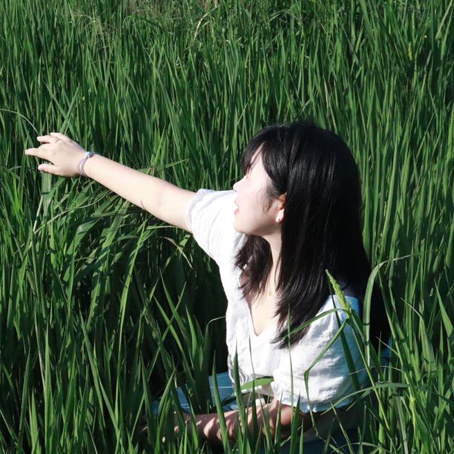 兔子抱紧胡萝卜