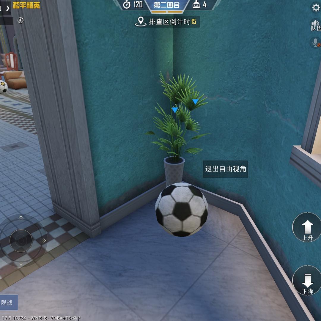 烟花汤圆