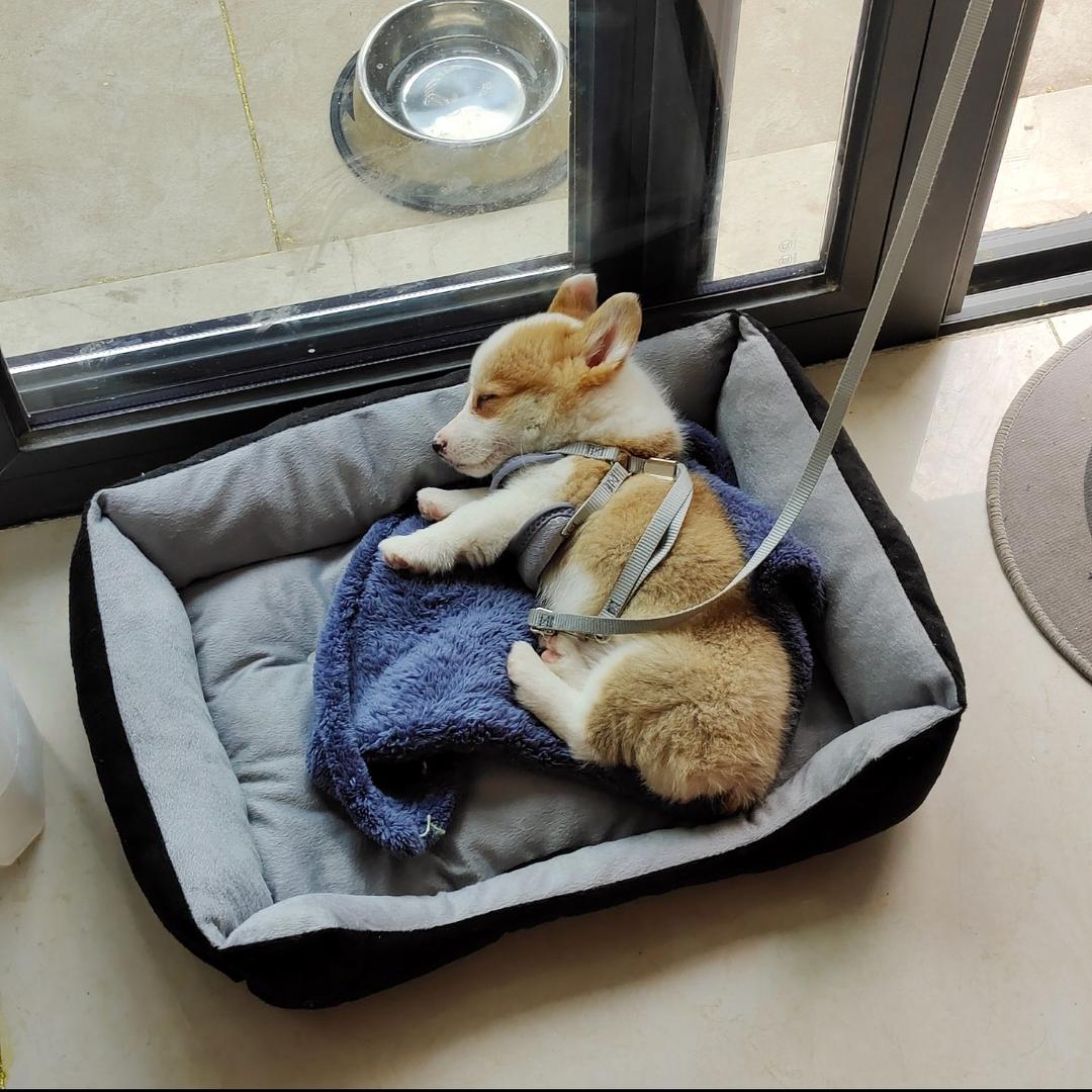 ▶︎ ︎ı||ıı||ıı||ı 6‘