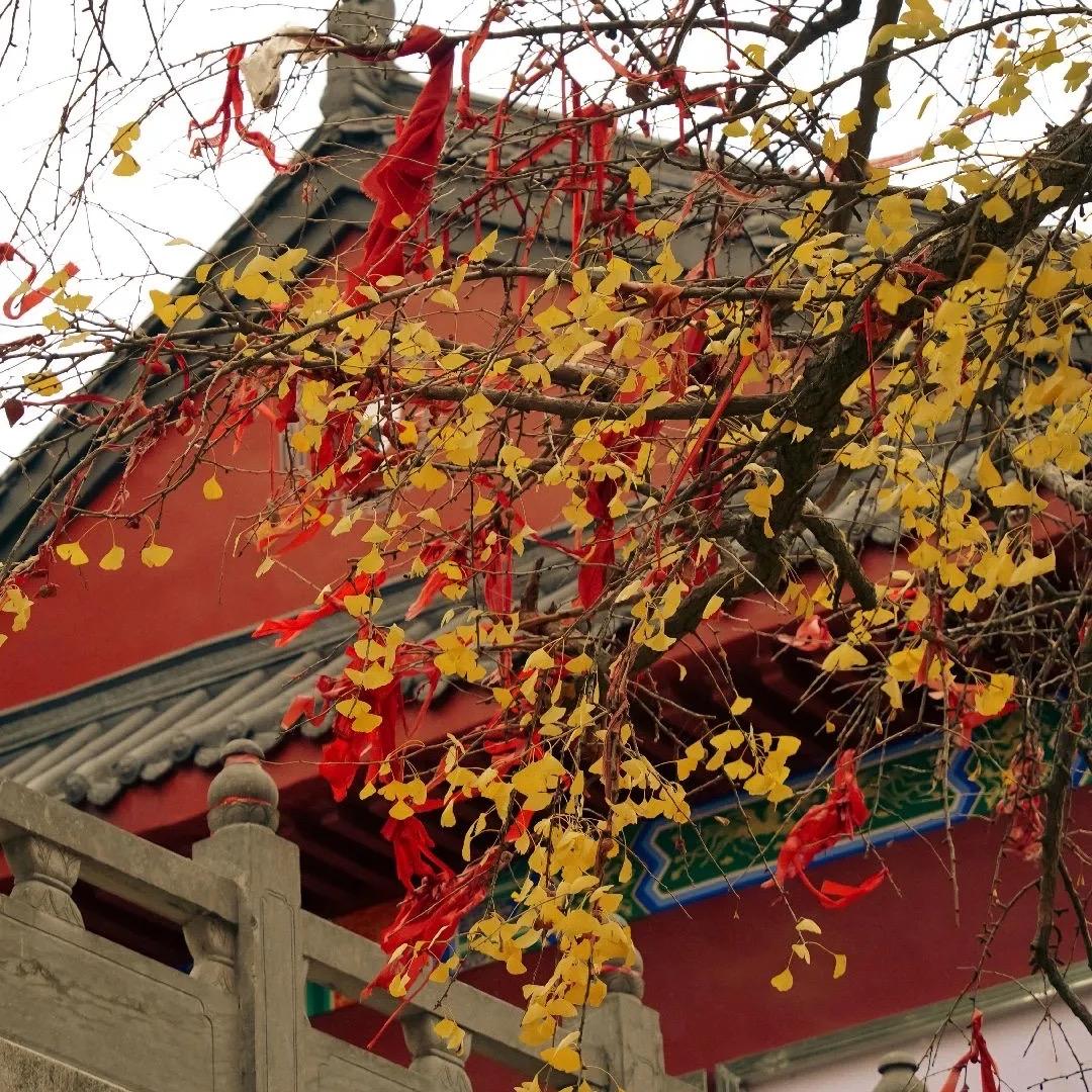 武当聚缘阁