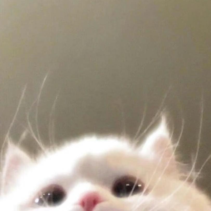 oO