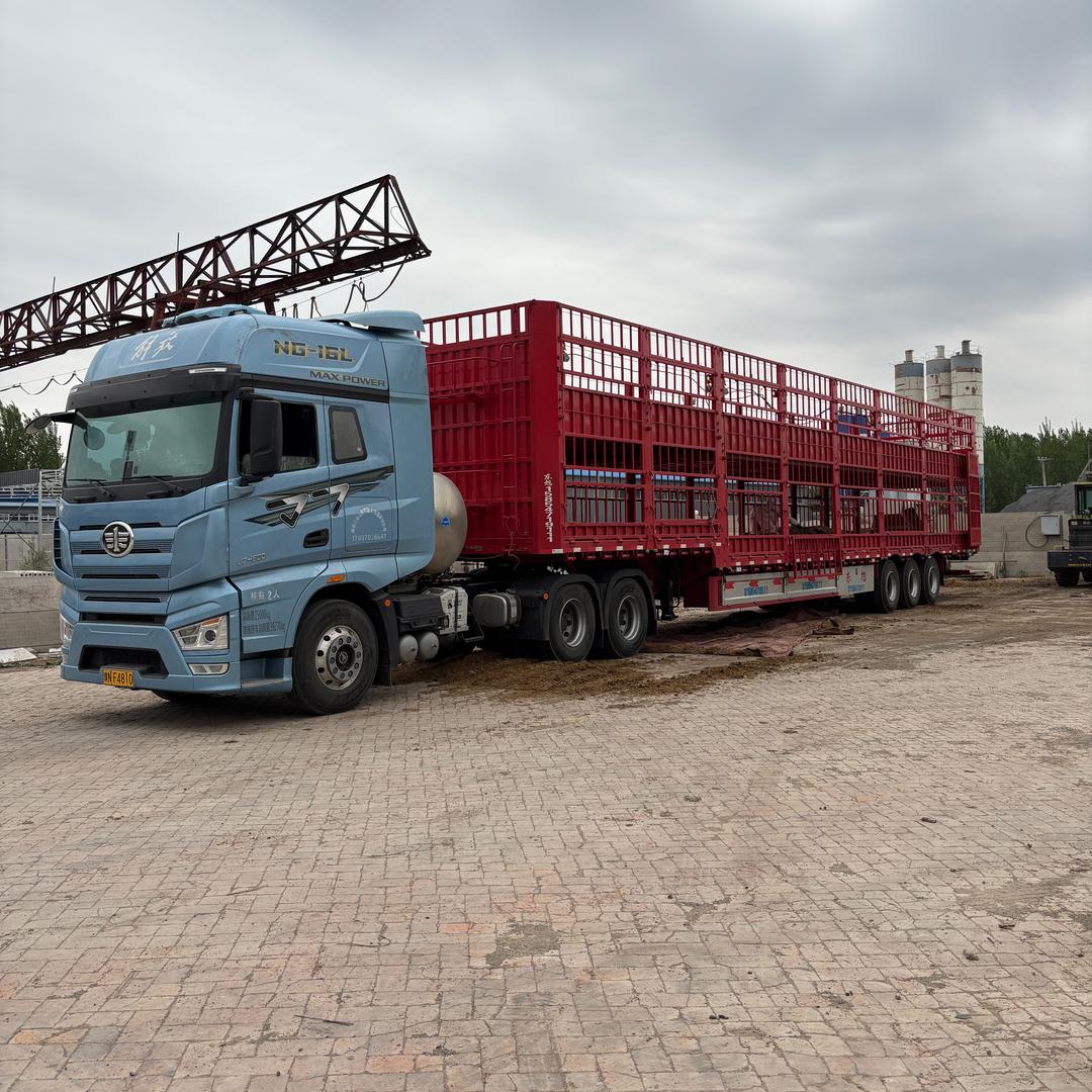 牦牛车队（专业活牛运输）