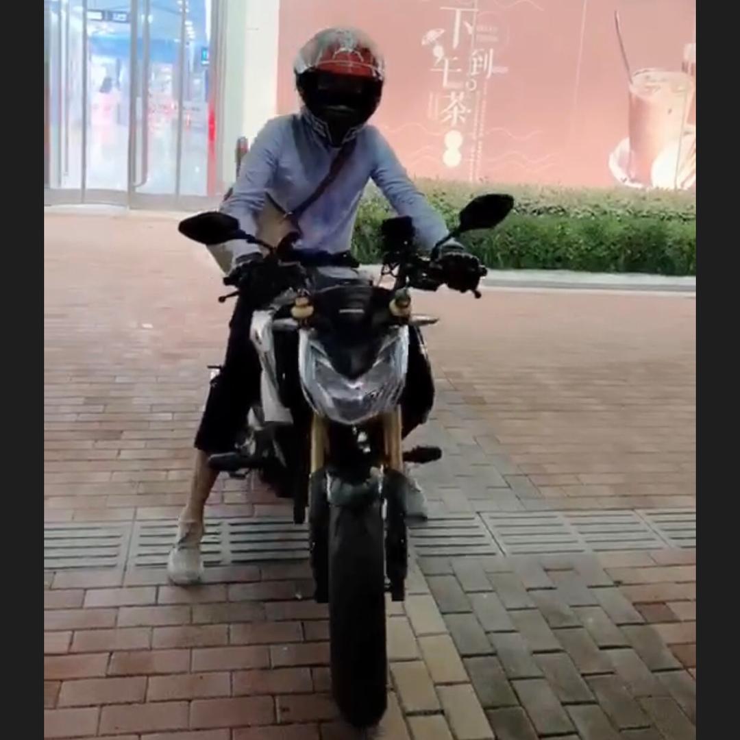 🐲🐲🐯❤️🐑