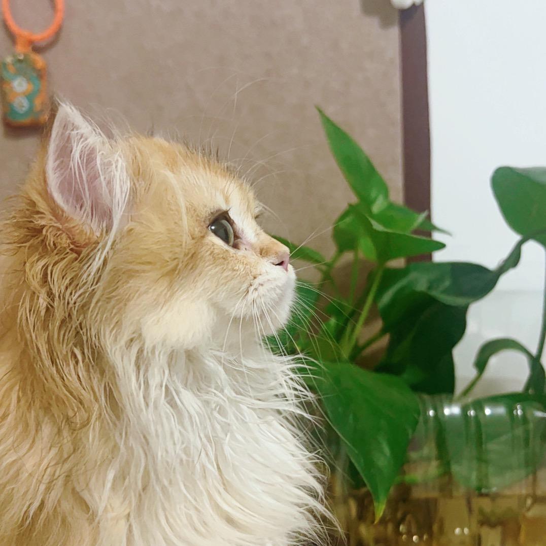 小怀同志