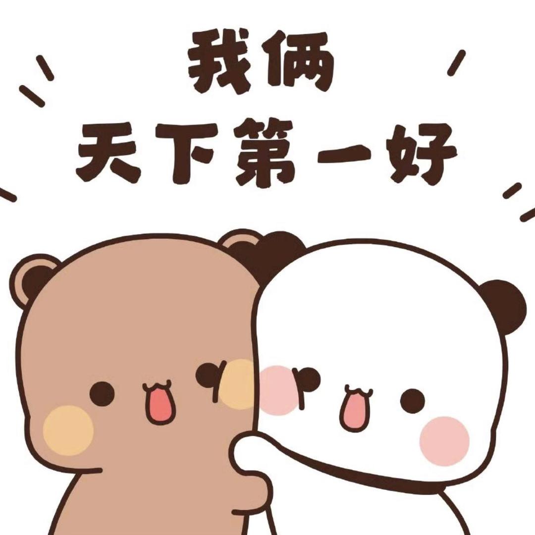欣文网络-布布