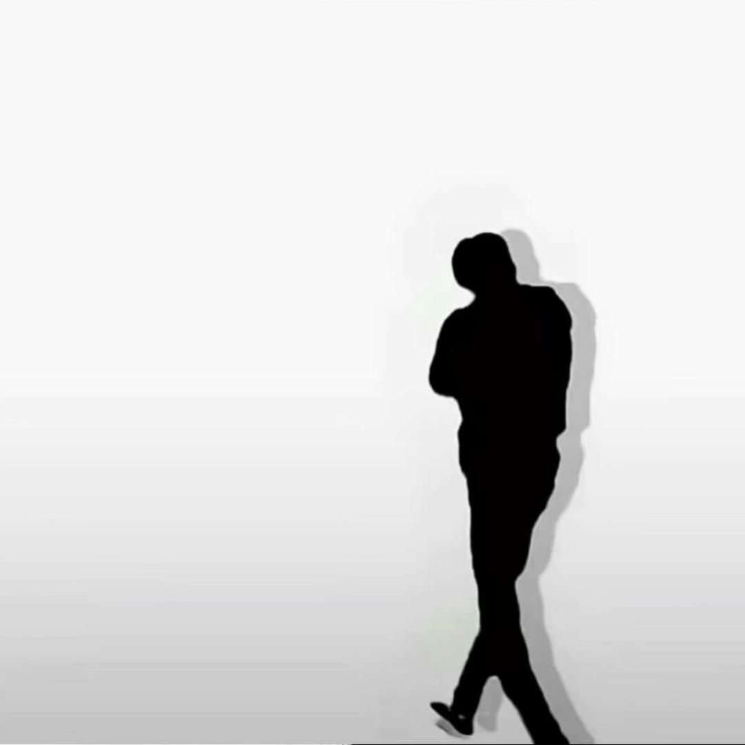 鲨鱼 886