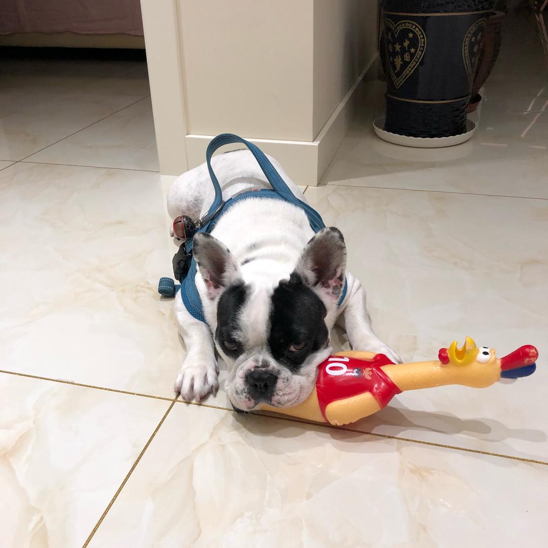 岁月静好心舒缓