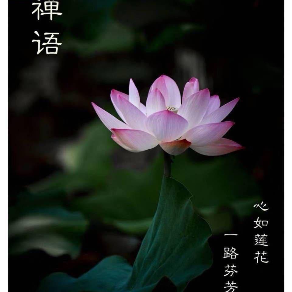杰.