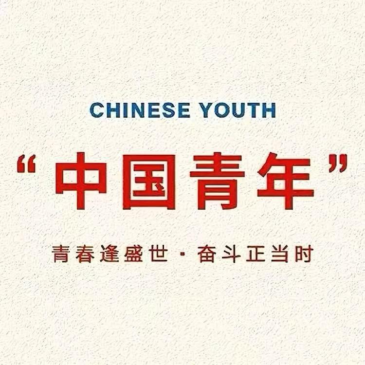 🇨🇳中华青年