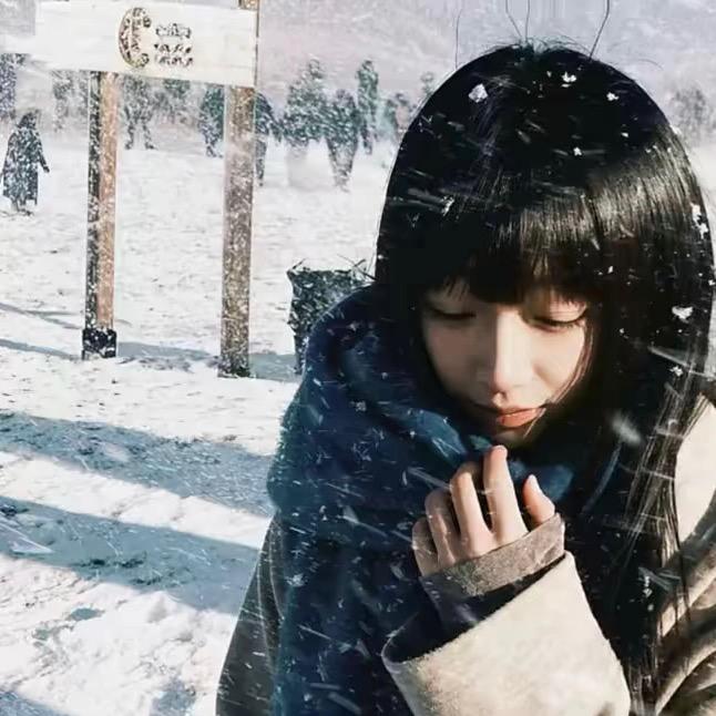 ㅤㅤ ㅤㅤㅤ