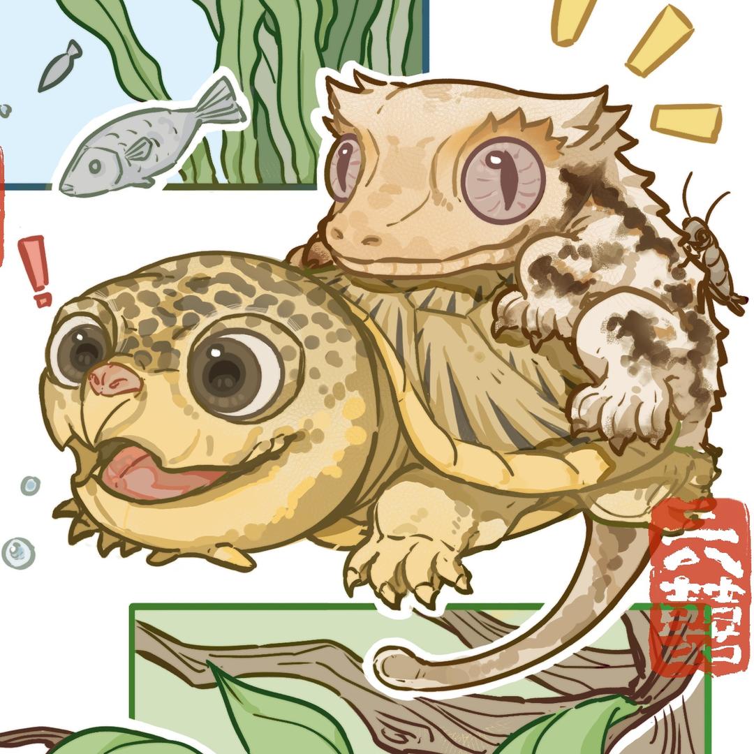 六囍的动物星球
