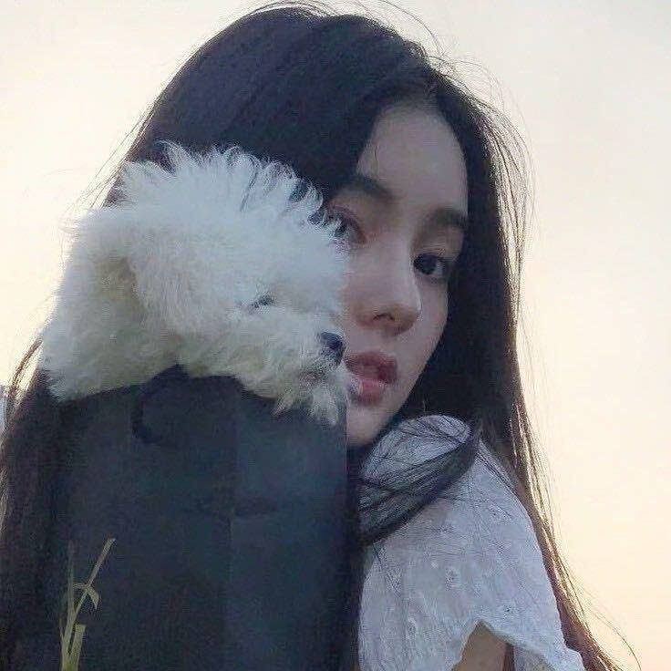 YYY.