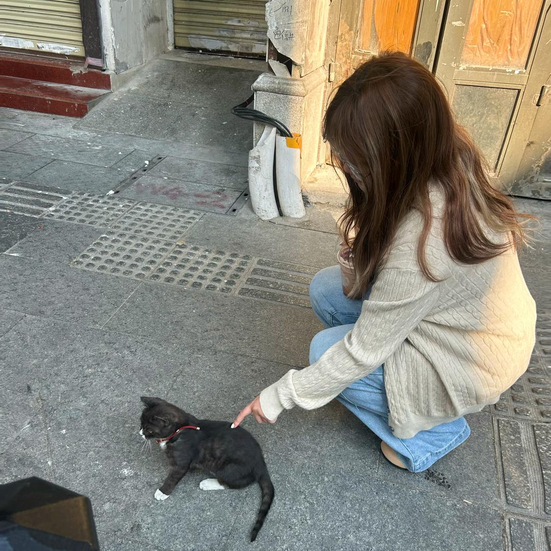 鸡腿🍗