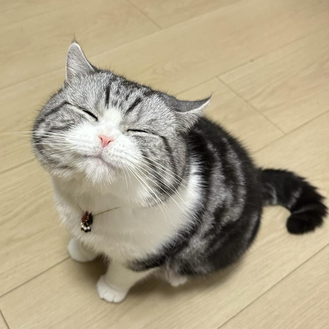 坏叔叔︋︋