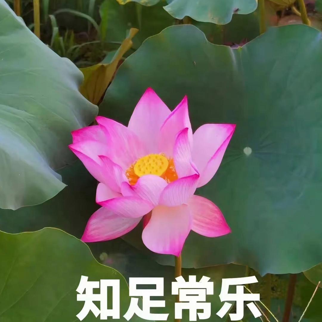 国富民强