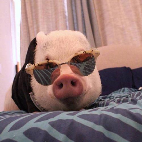 脚丫（三角洲行动）