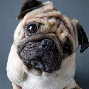 平平淡淡的过日子