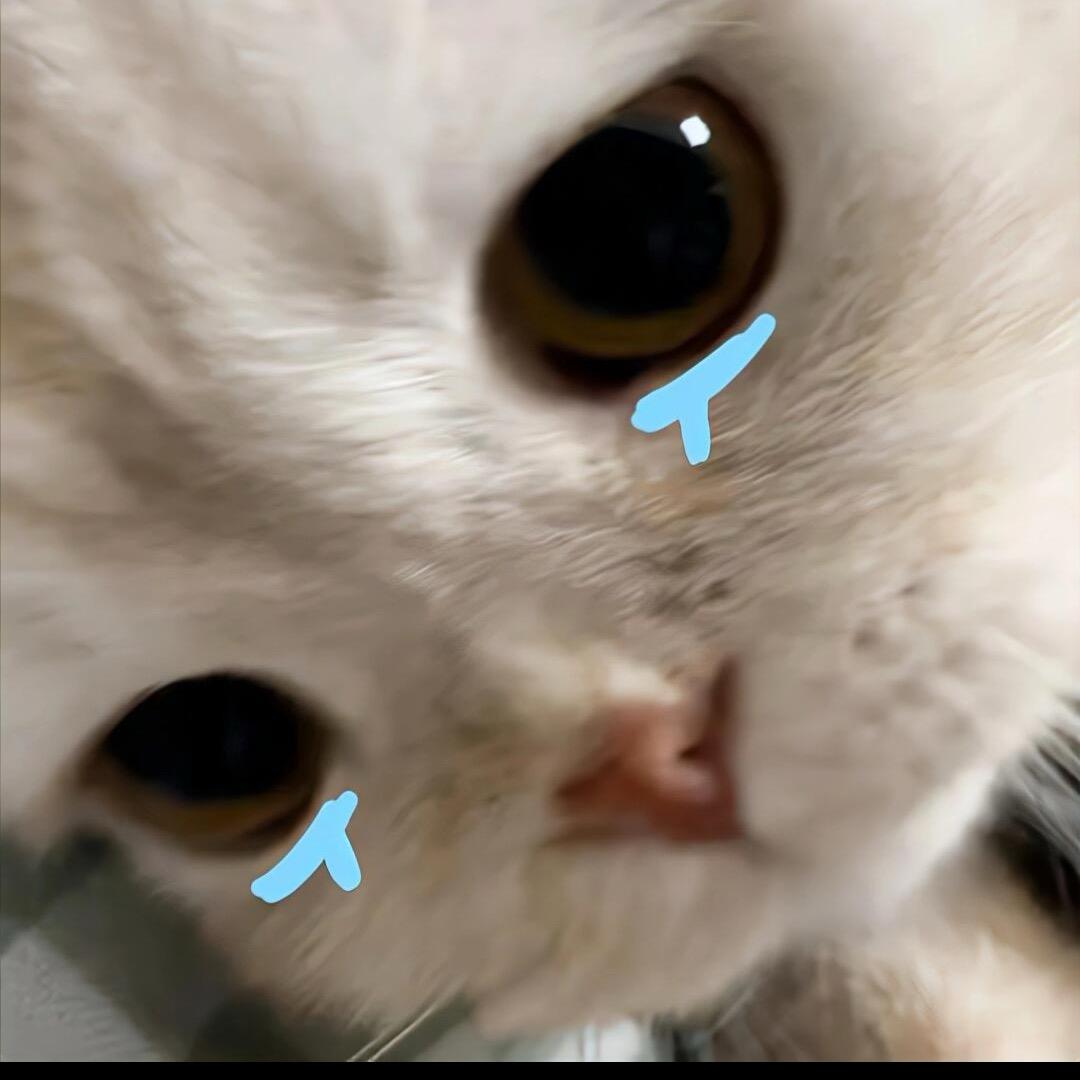 哞哞寻宝俱乐部