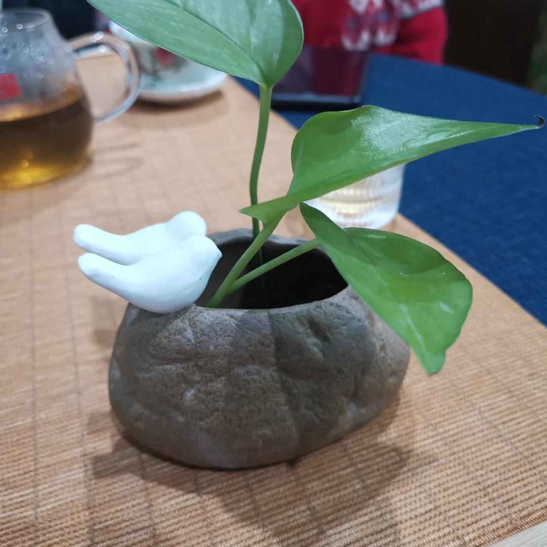 玲姐姐