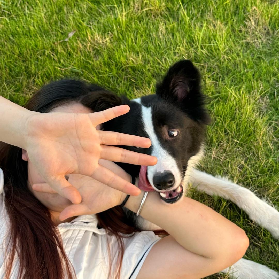 唐门炸鸡（打工版）