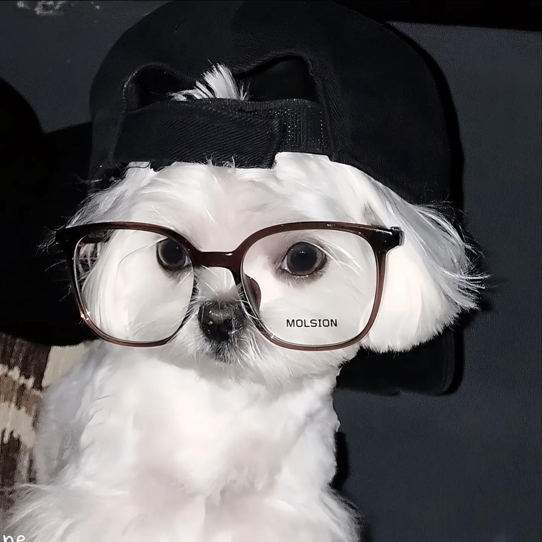 匿名好友.
