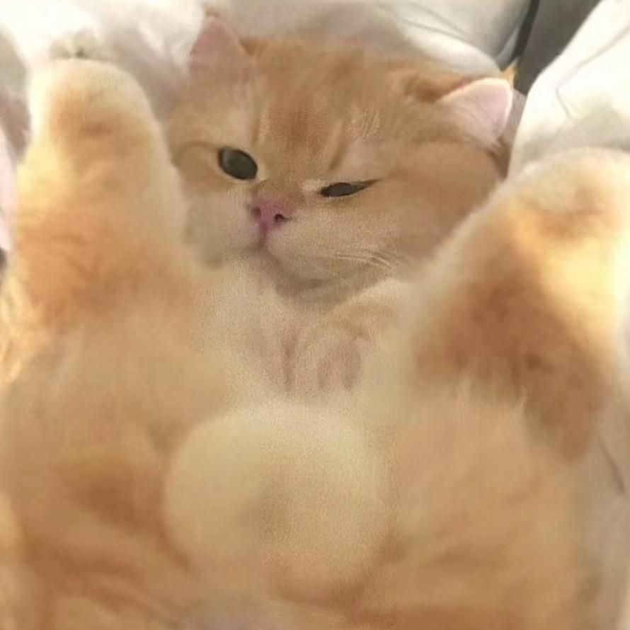 川胤