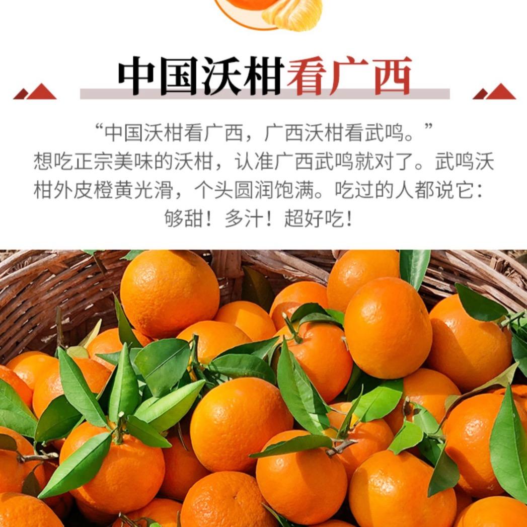 甜蜜蜜的薯