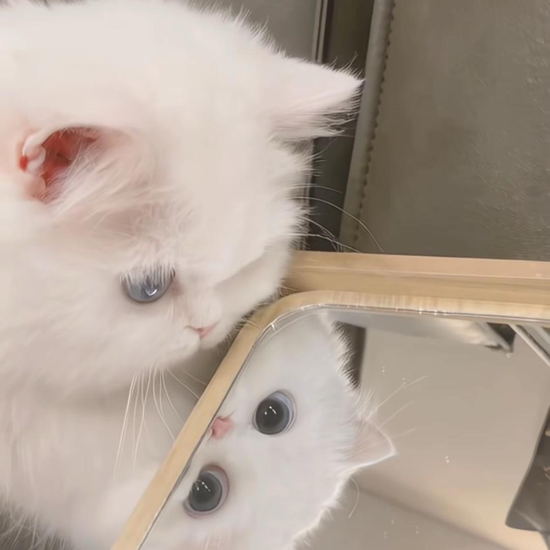 水下月