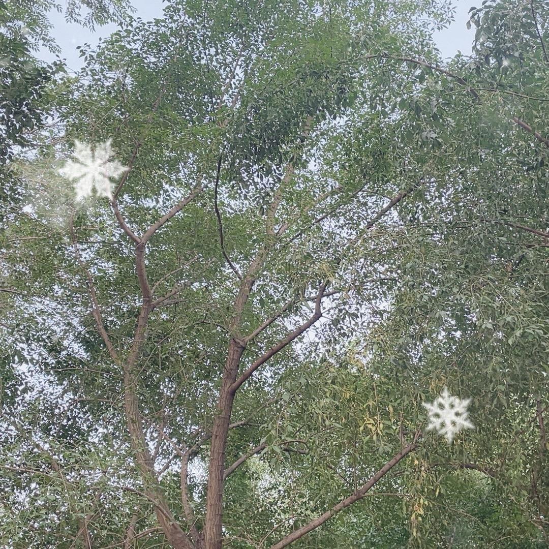 凌云（一路向前）