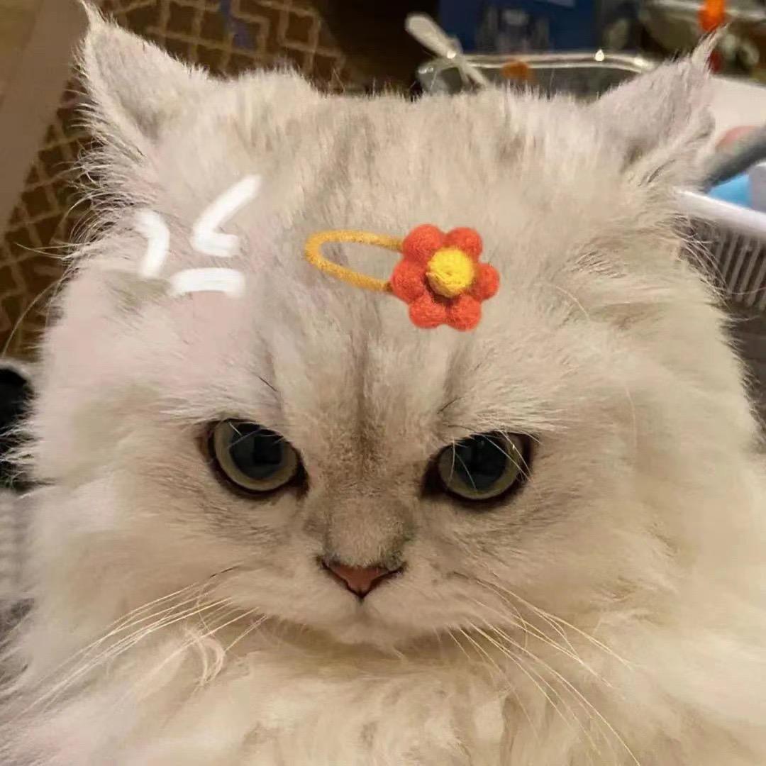 白桃味的元气森林