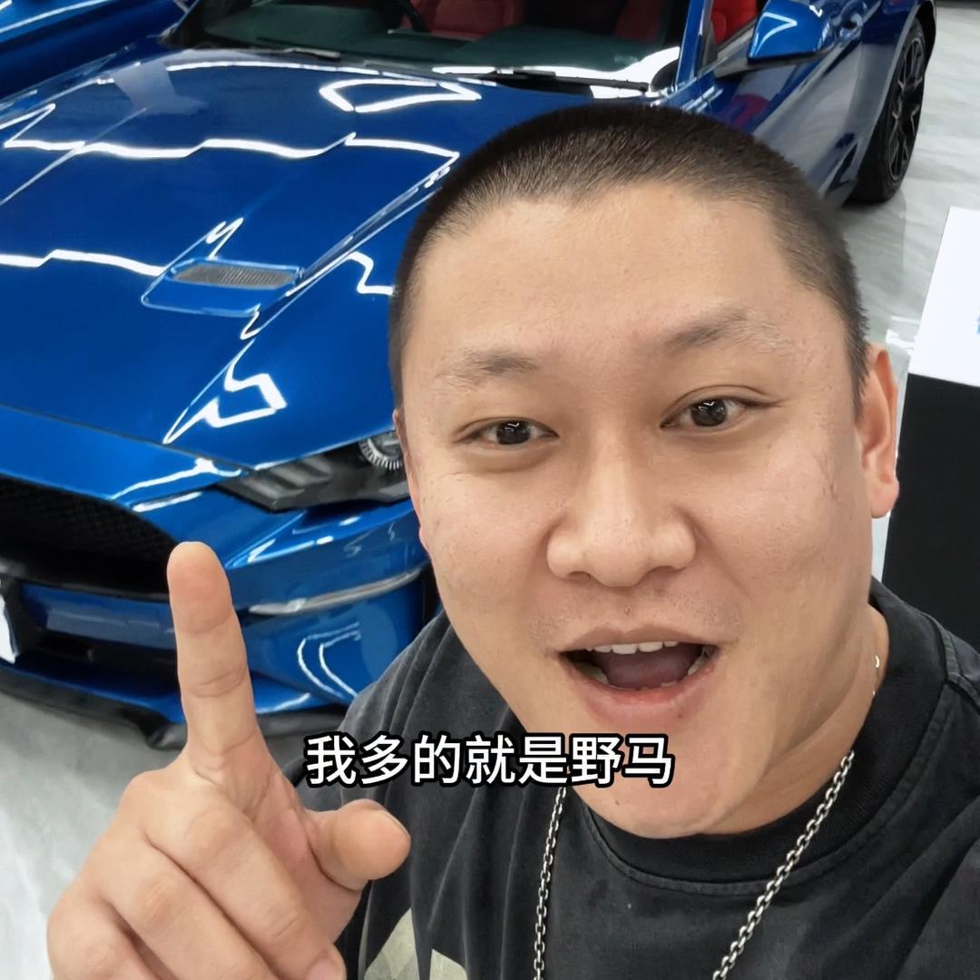 老白-谢尔比汽车