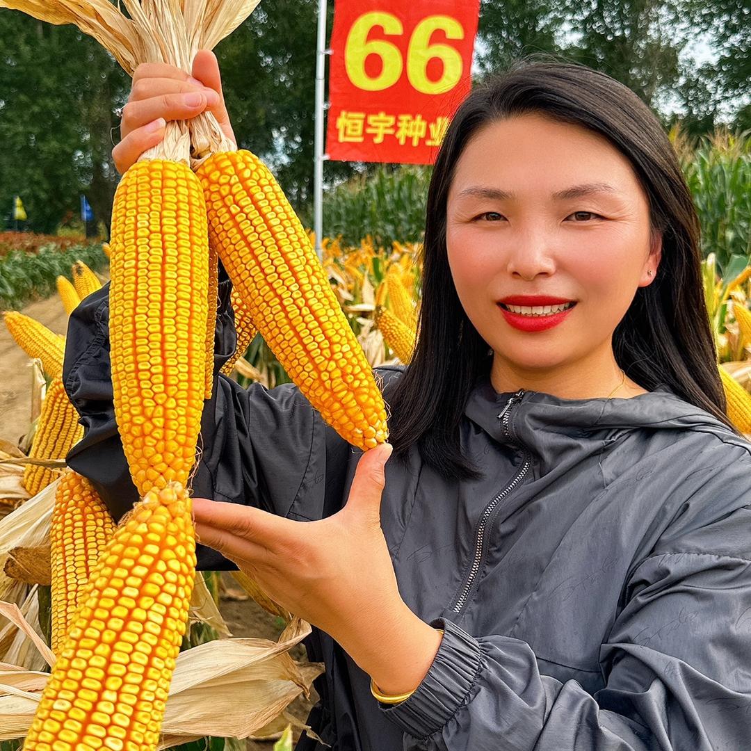 榆树天元农资小郑