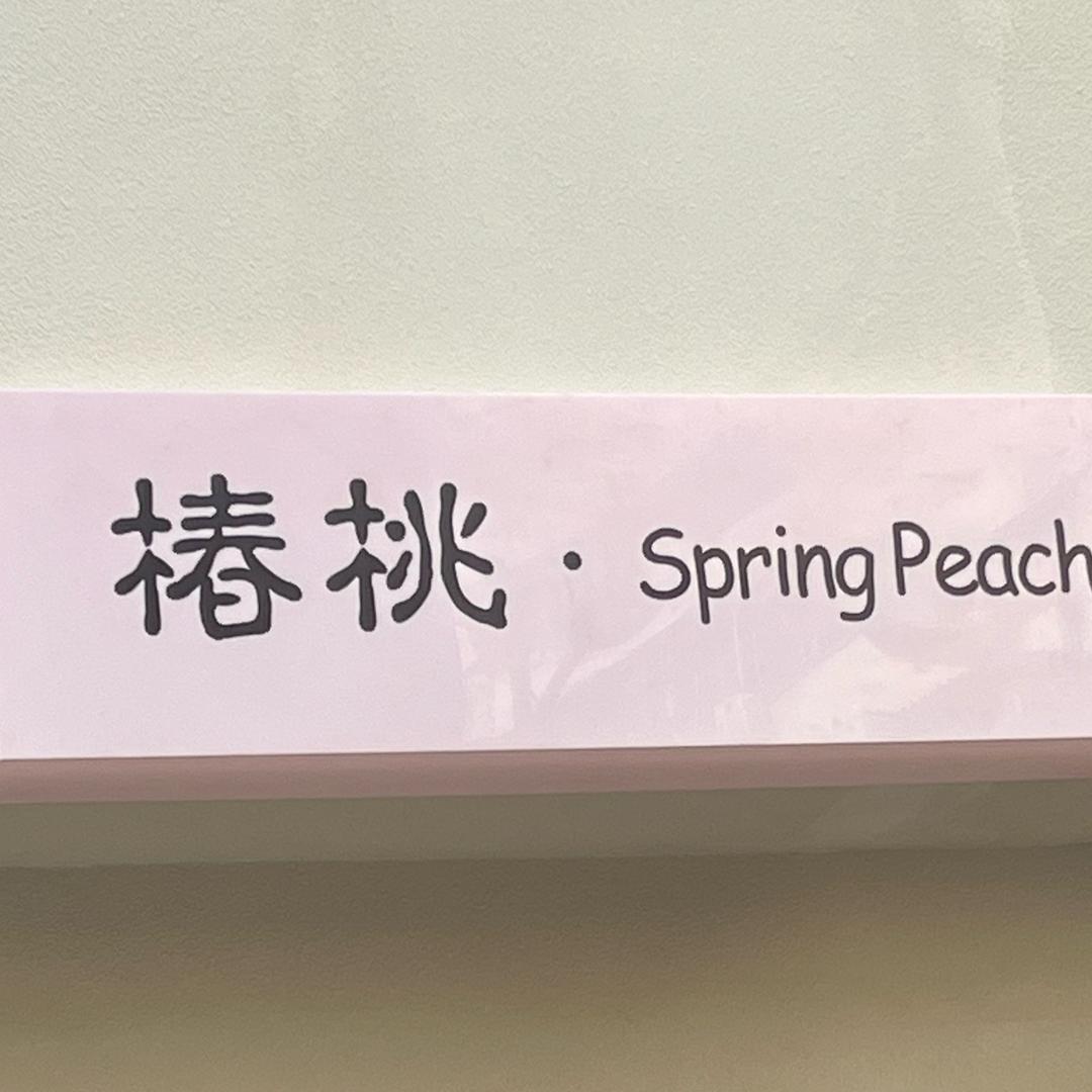 桃桃挫甲记