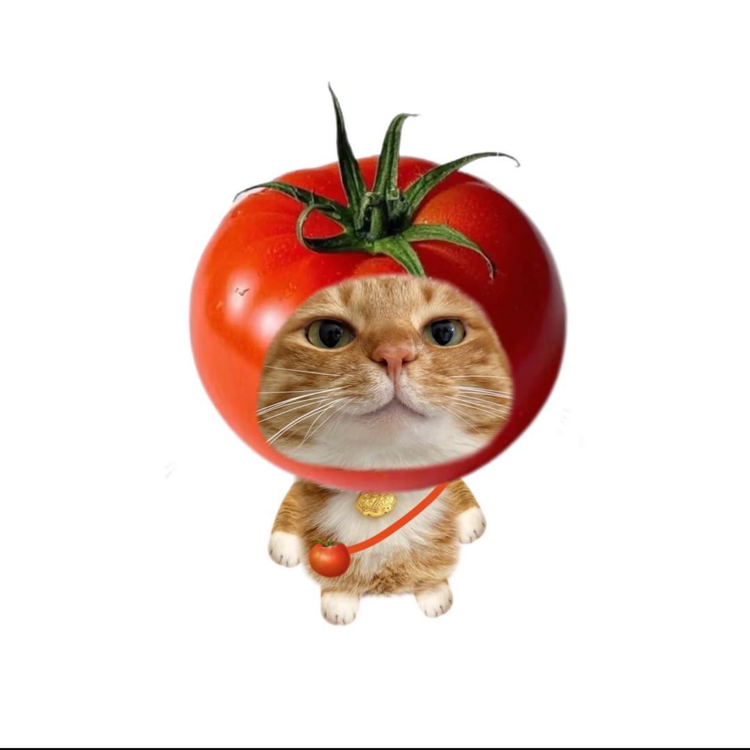 薯条大王( ´▽｀
