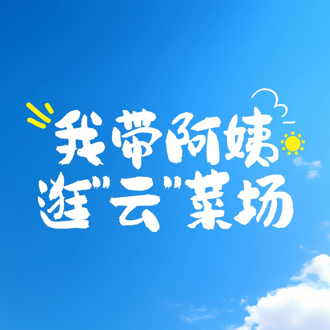 我带阿姨逛云菜场
