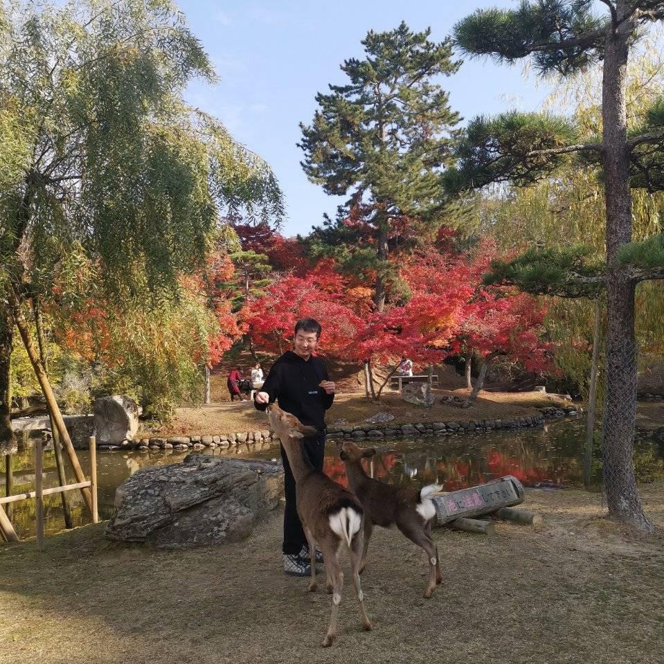 董胖胖