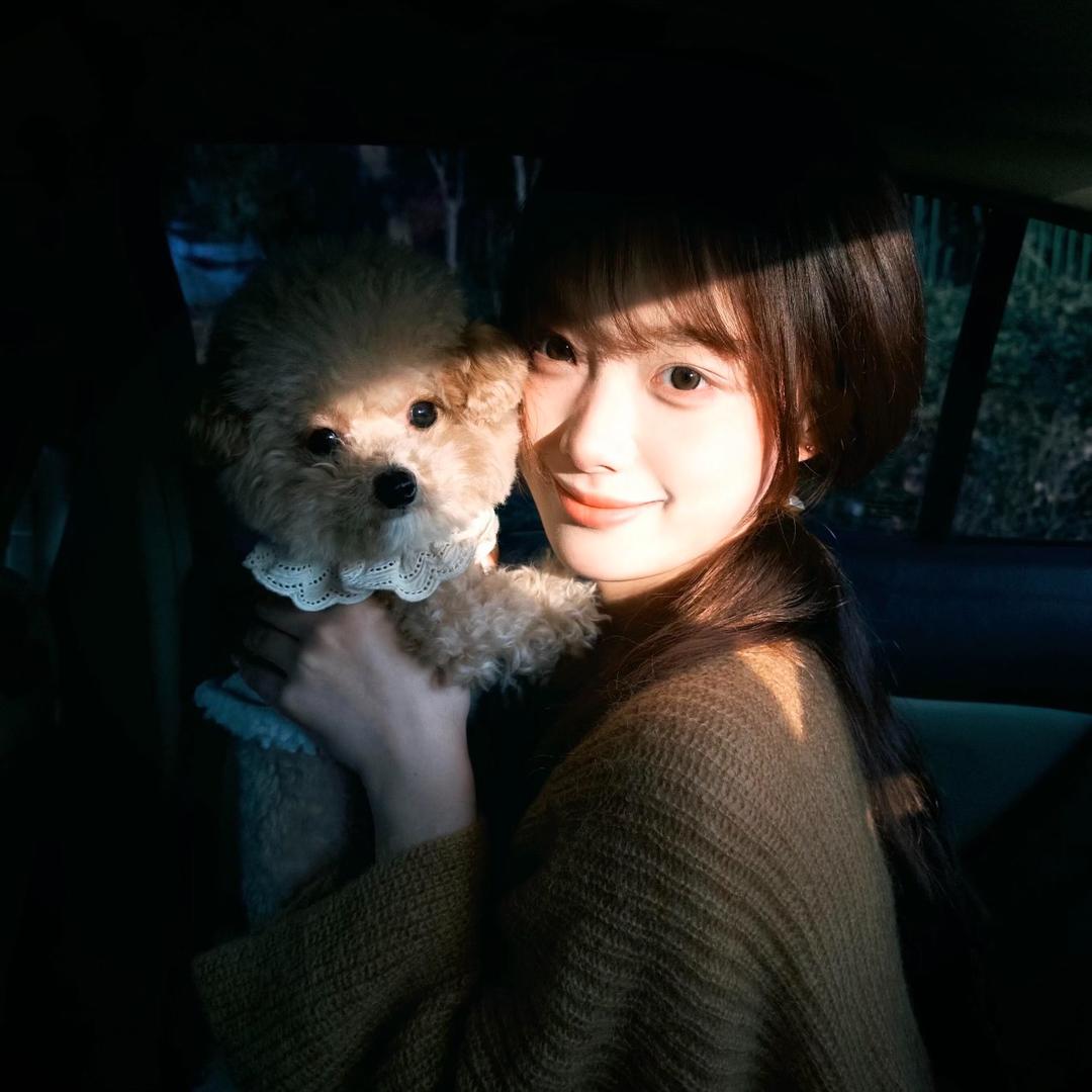 西红柿炒鸡蛋🍅