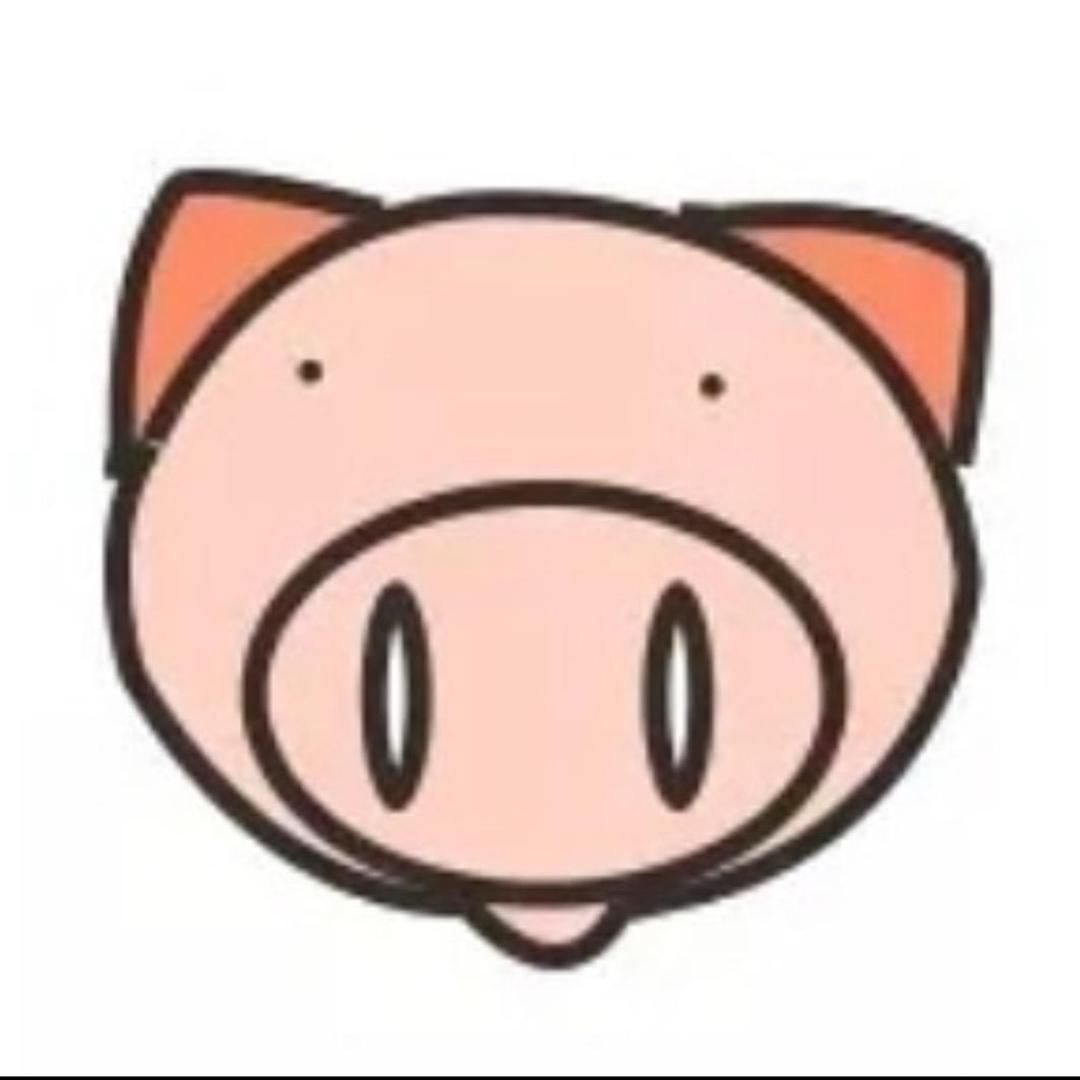 🐷
