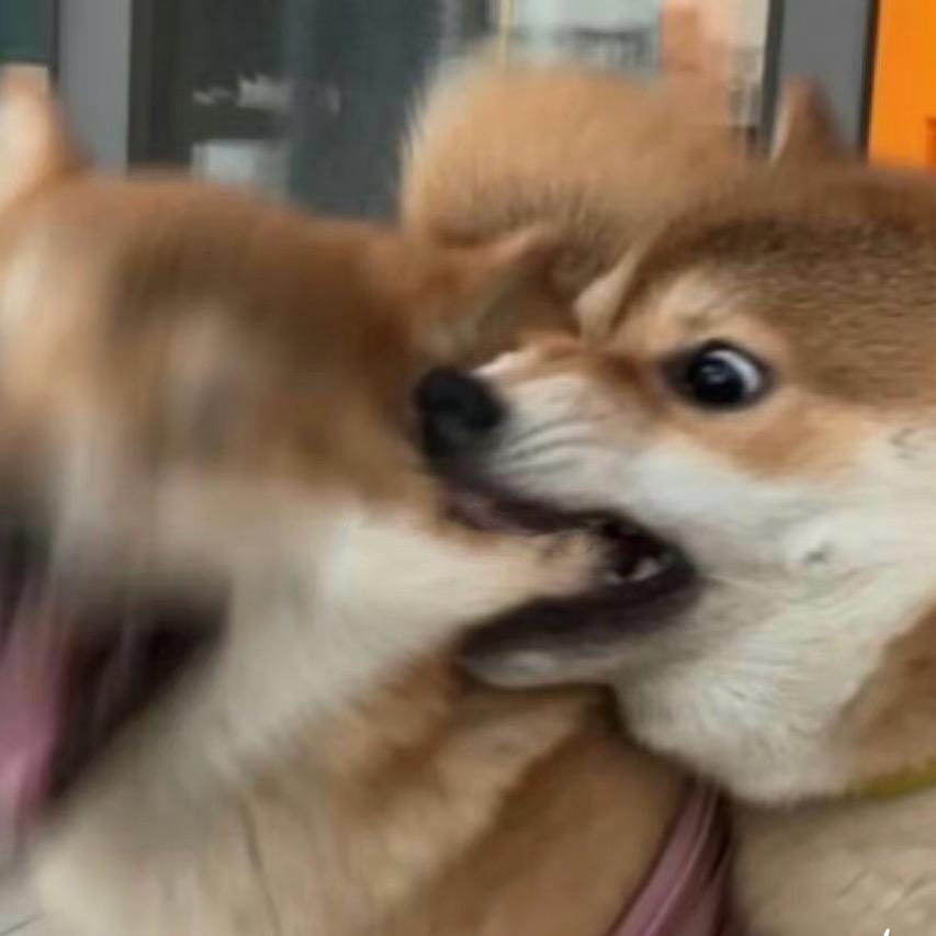 🐝狂追蜜人