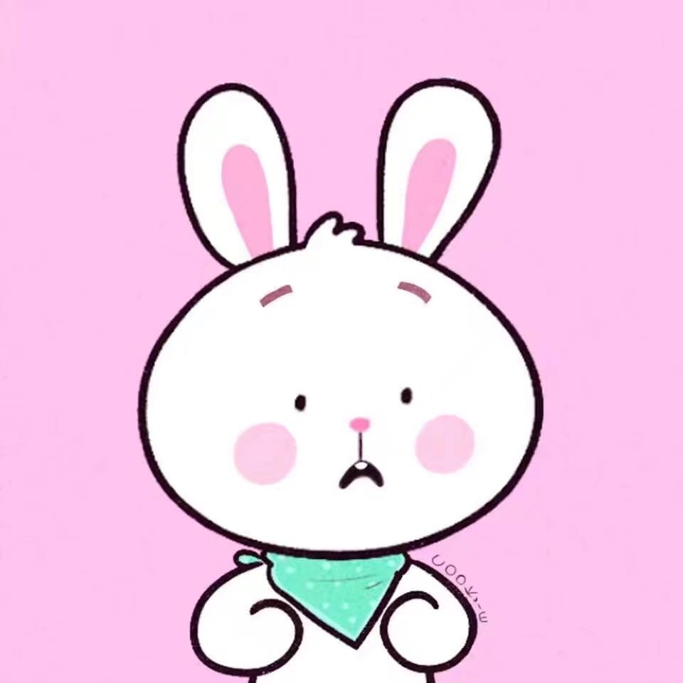 呆瓜小月