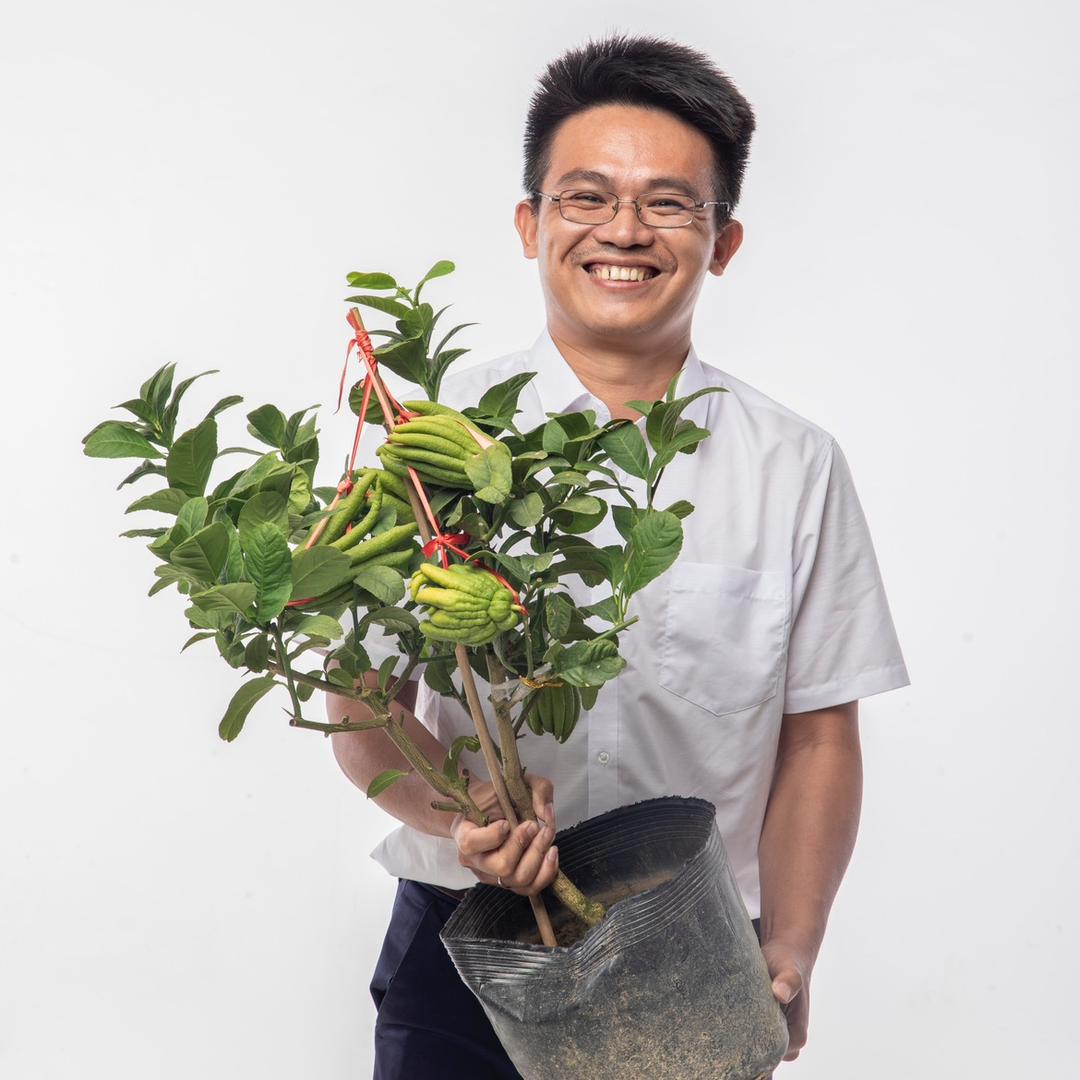 漳州恒兴果苗哥超市(王银辉)