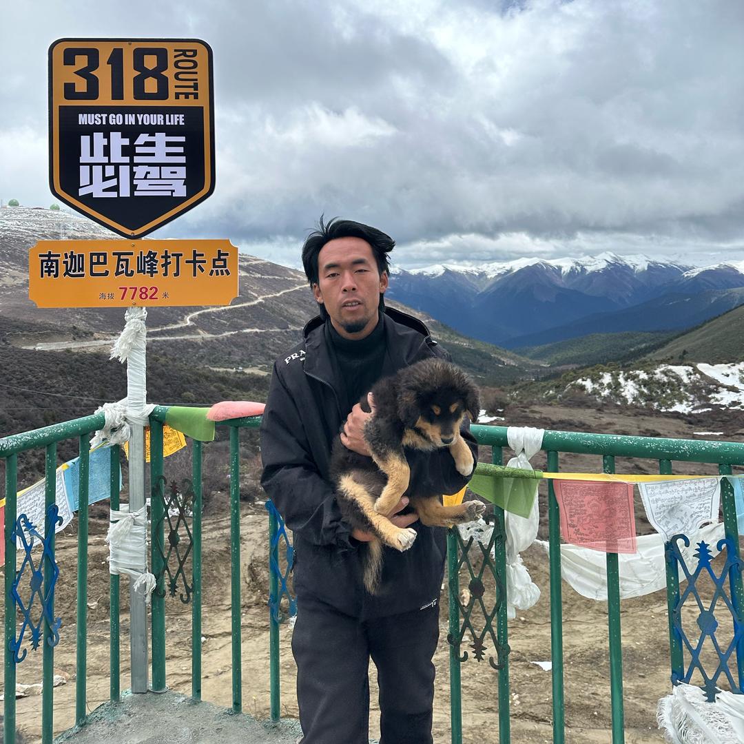 二哈骑行