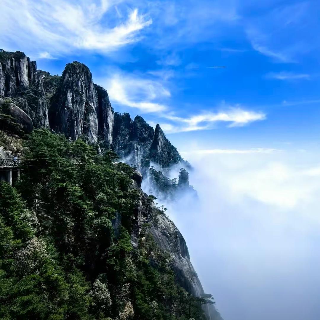 沏一壶茶