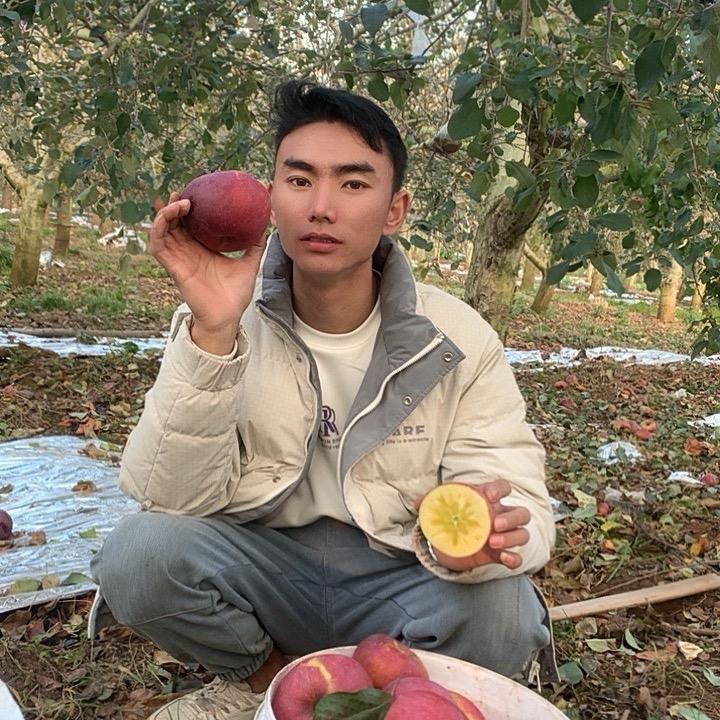 南方小苹果