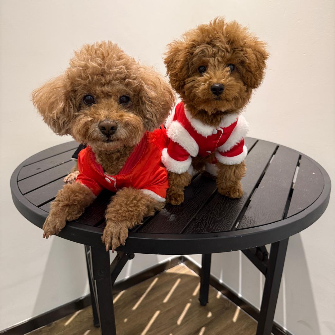 花样年华～（万事都如意）