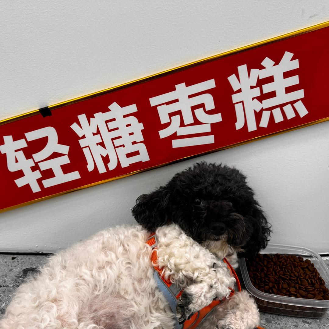 枣物语(思茅区创基尚城店)专用号