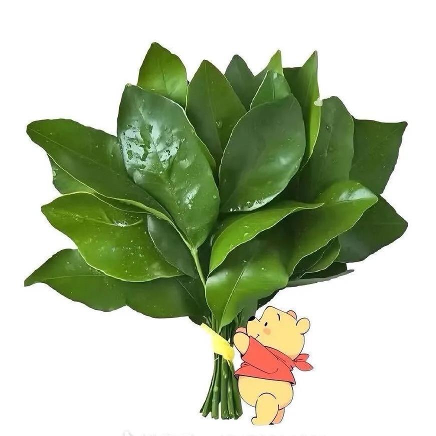 冷酷包工头1