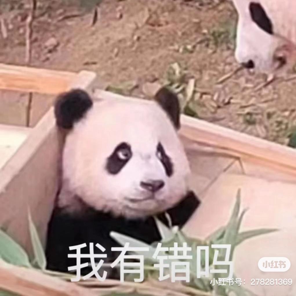 种梦种春风